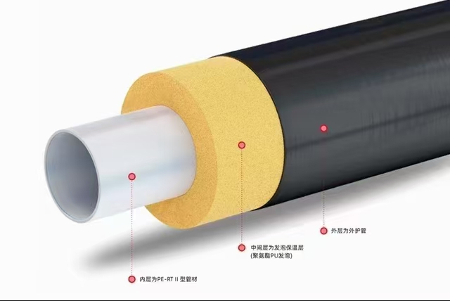來(lái)公司的第二天